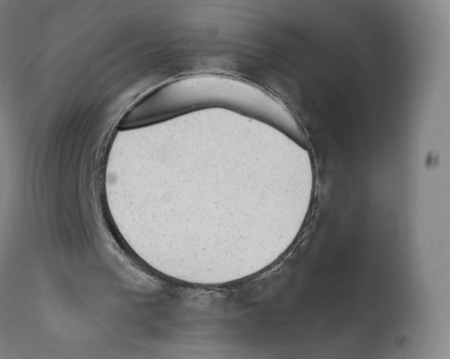 X0000110960193200907311114