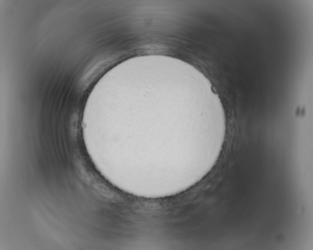 X0000110960194200907311114