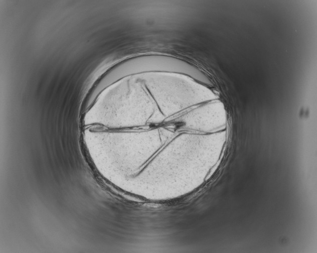 X0000110960195200907311114