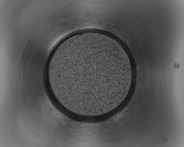 X0000110960196200907311114