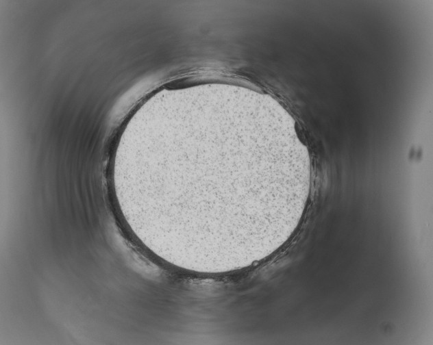 X0000110960197200907311114
