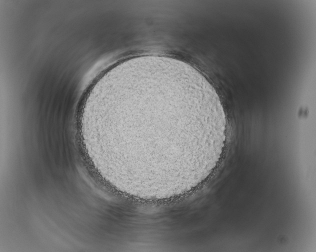 X0000110960198200907311114