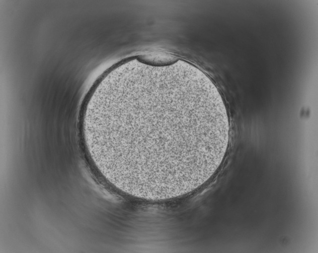 X0000110960200200907311114