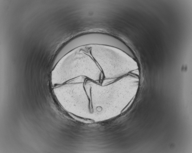 X0000110960201200907311114