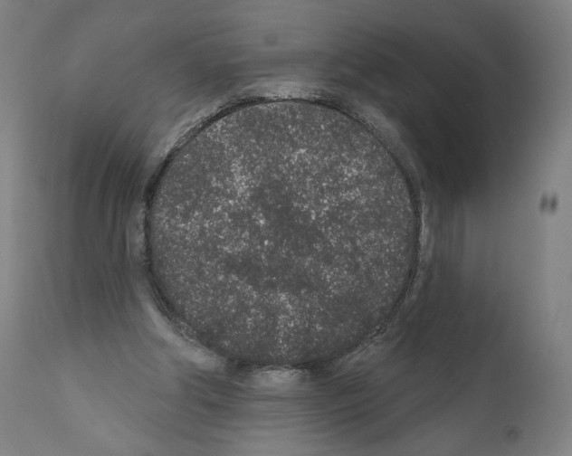 X0000110960202200907311114