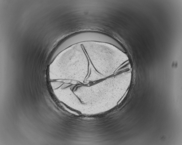 X0000110960203200907311114