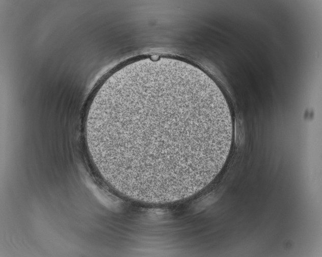 X0000110960204200907311114