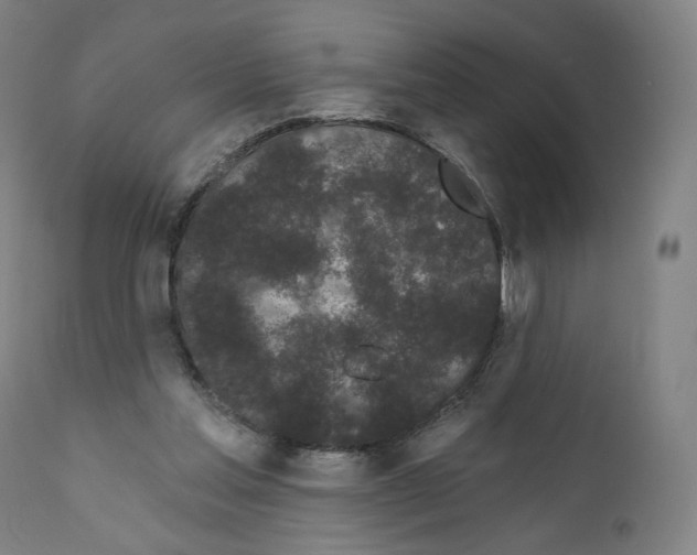 X0000110960205200907311114