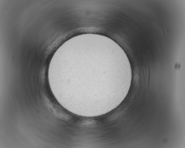 X0000110960206200907311114