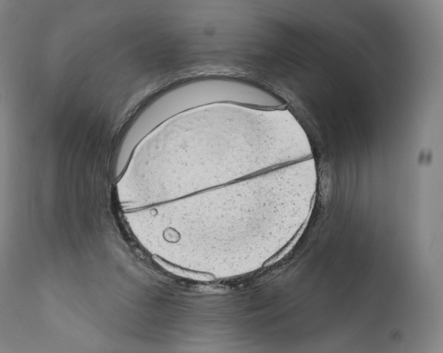 X0000110960207200907311114