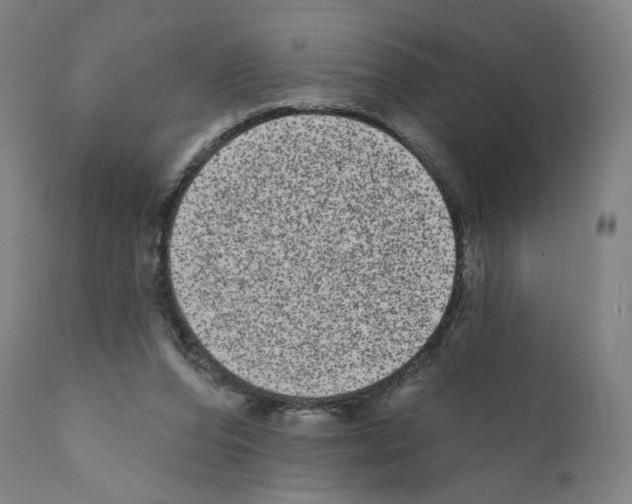 X0000110960208200907311114