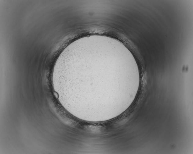 X0000110960209200907311114