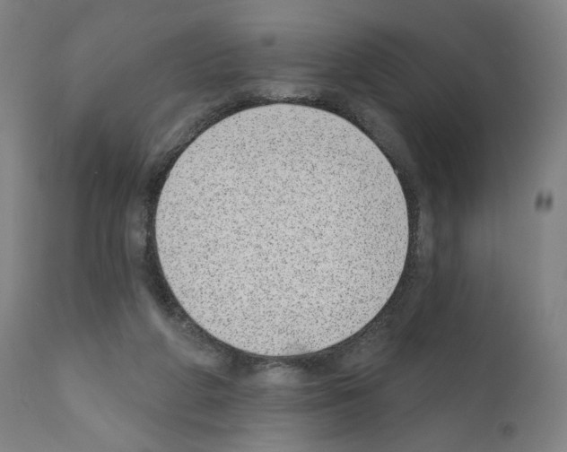 X0000110960210200907311114
