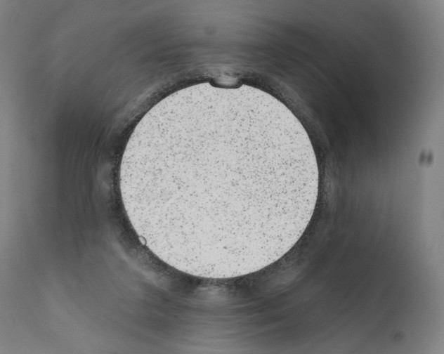 X0000110960211200907311114