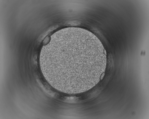 X0000110960212200907311114