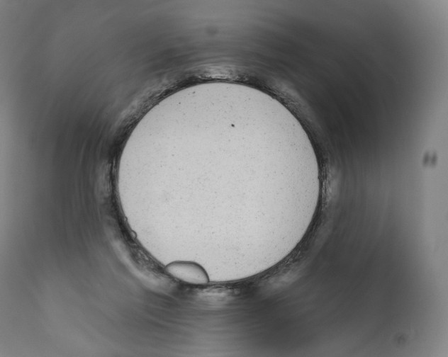 X0000110960213200907311114