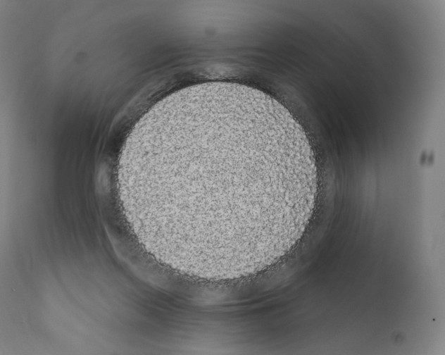 X0000110960214200907311113