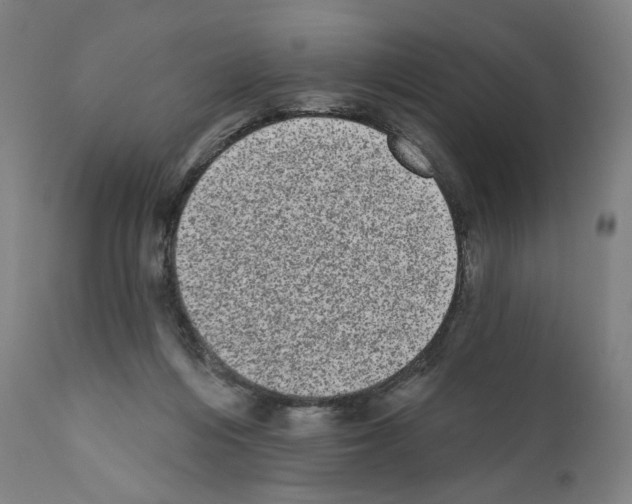 X0000110960216200907311113