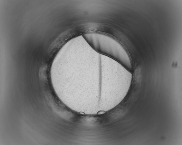 X0000110960217200907311113