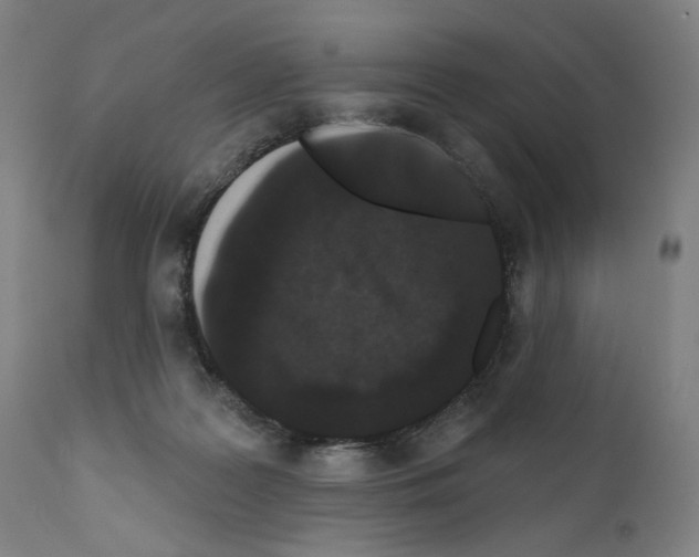 X0000110960219200907311113