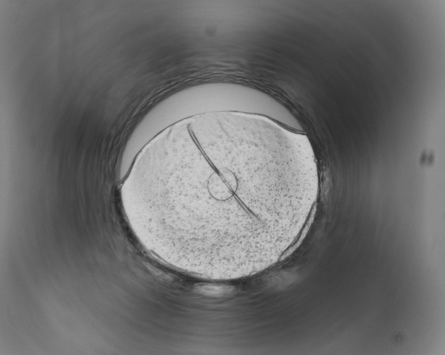 X0000110960221200907311113
