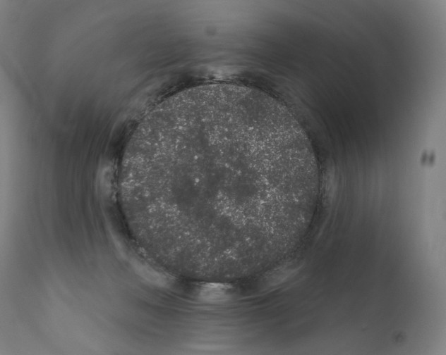 X0000110960222200907311113