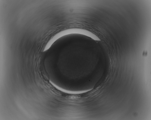 X0000110960223200907311113