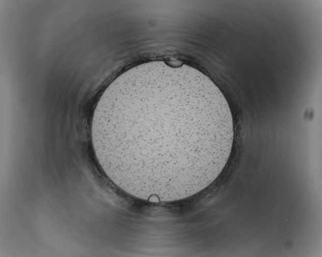 X0000110960224200907311113