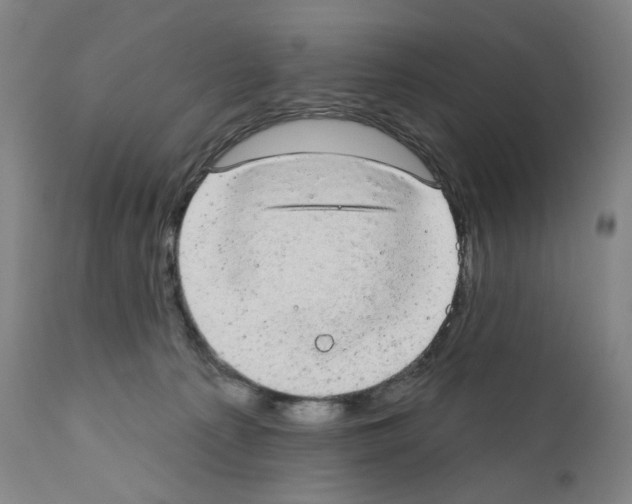 X0000110960225200907311113