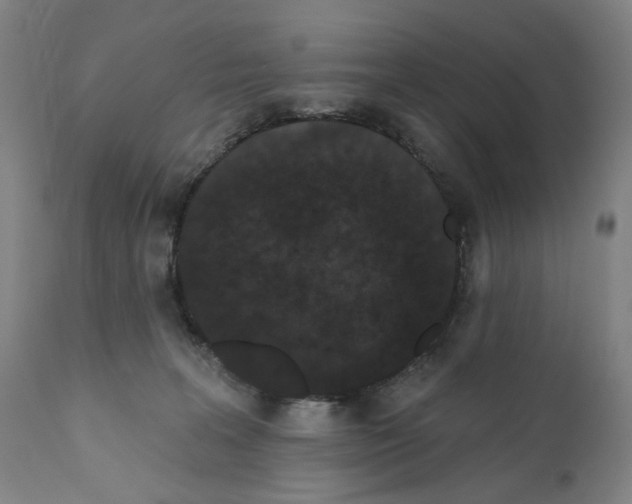 X0000110960227200907311113