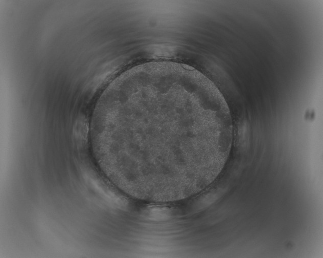 X0000110960228200907311113