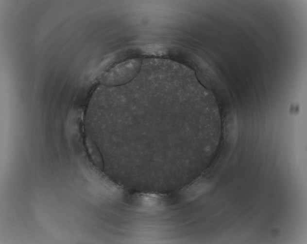 X0000110960229200907311113