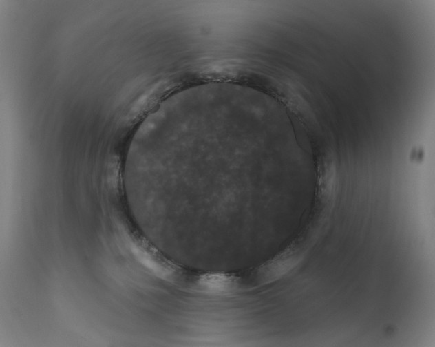 X0000110960231200907311113