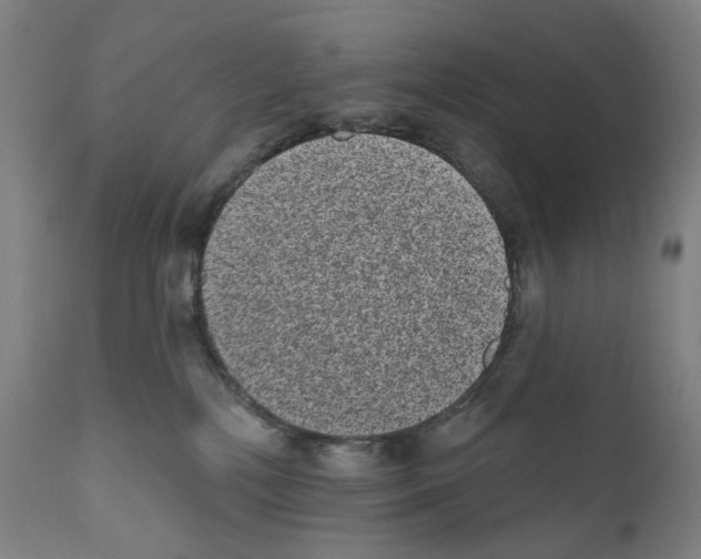 X0000110960232200907311113