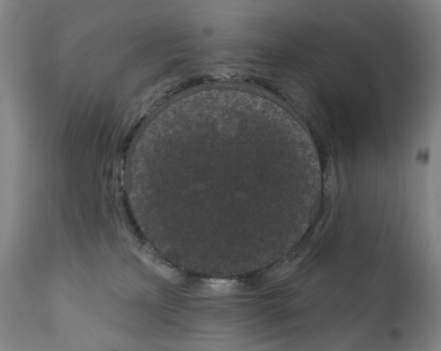 X0000110960233200907311113