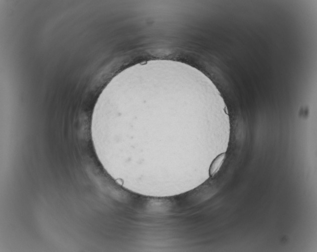 X0000110960234200907311113