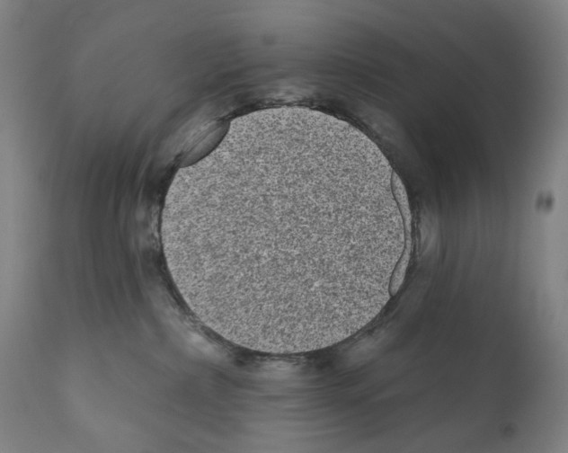 X0000110960236200907311113