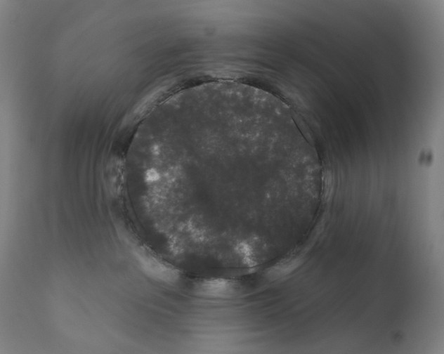 X0000110960237200907311113