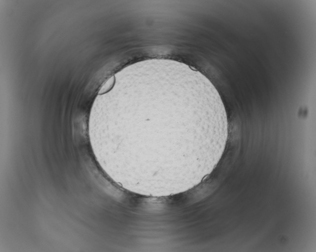 X0000110960238200907311113