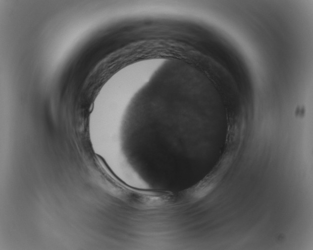 X0000110960239200907311113