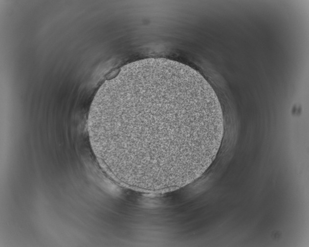 X0000110960240200907311113