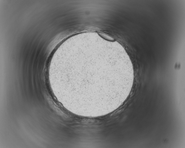 X0000110960242200907311112