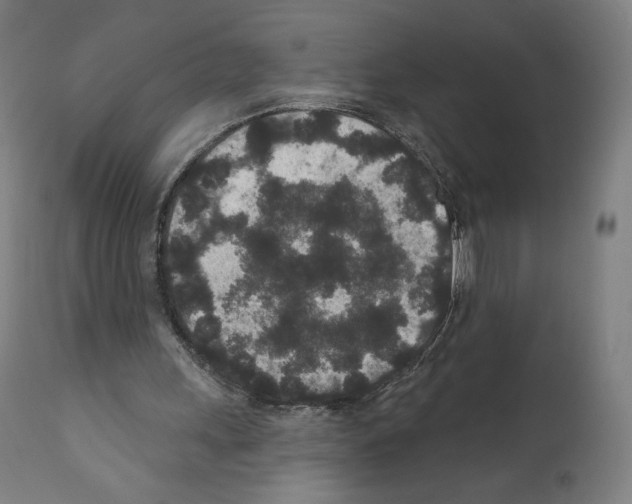 X0000110960243200907311112
