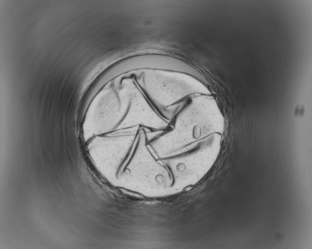 X0000110960244200907311113
