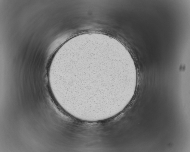 X0000110960245200907311113