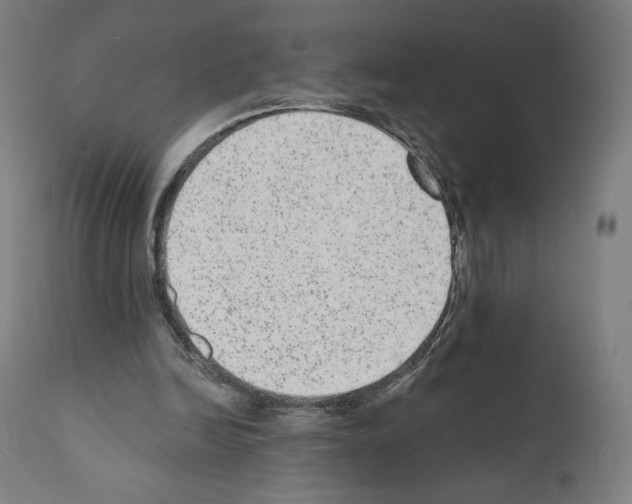X0000110960246200907311113