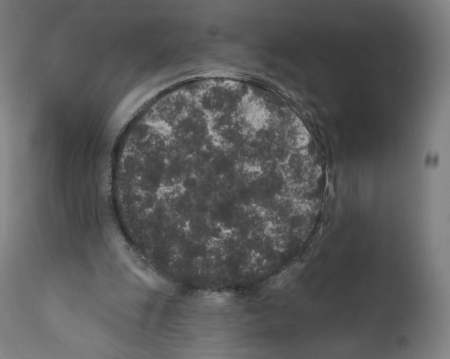 X0000110960247200907311113