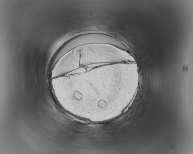 X0000110960248200907311113