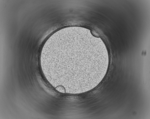 X0000110960250200907311113