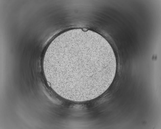 X0000110960251200907311113